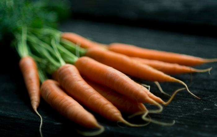 Vegetable Garden in March