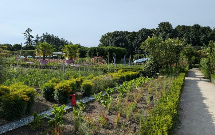 Vegetable Garden in September
